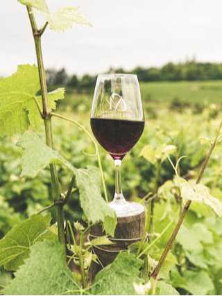 Vale do Douro