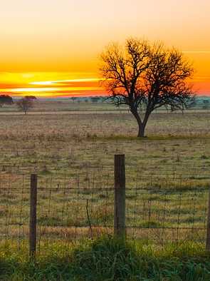 Alentejo