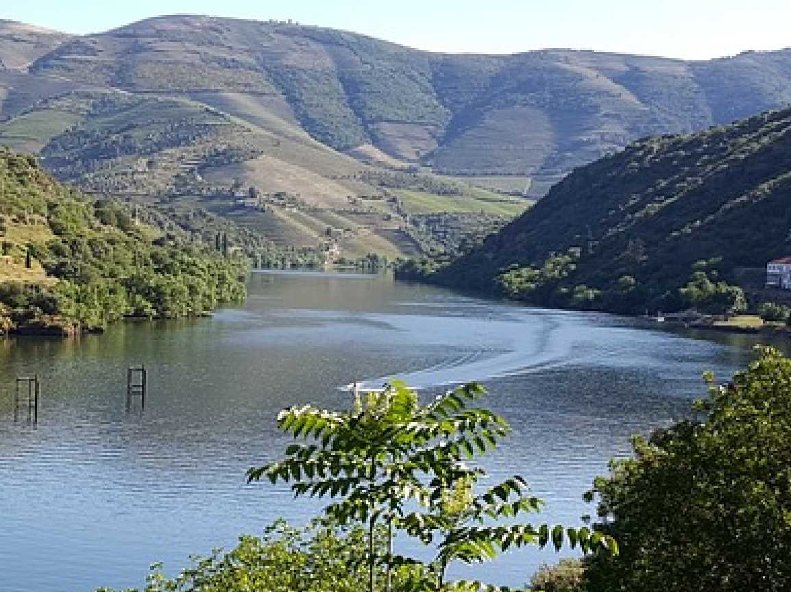 Gallery - Private Day Tour Douro, Wine Estate & Boat Cruise on the Douro River
