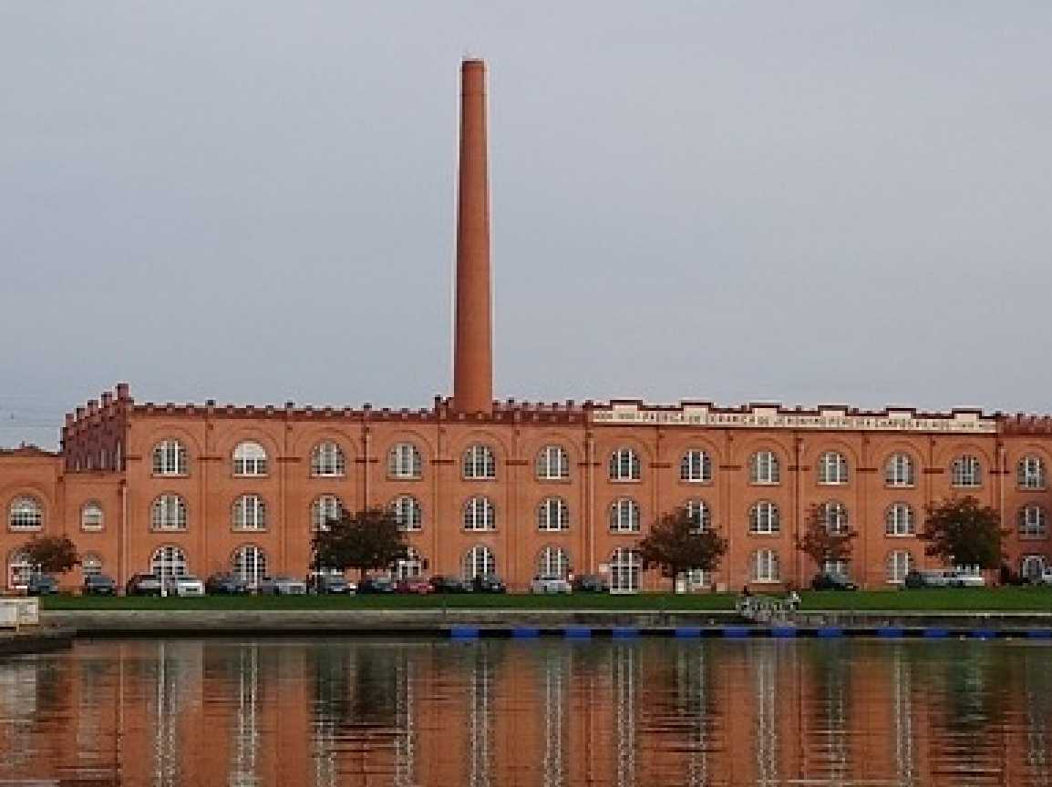 Gallery - Partida desde Porto – Tour Privada Meio Dia en Aveiro, passeio en Barco Moliceiro