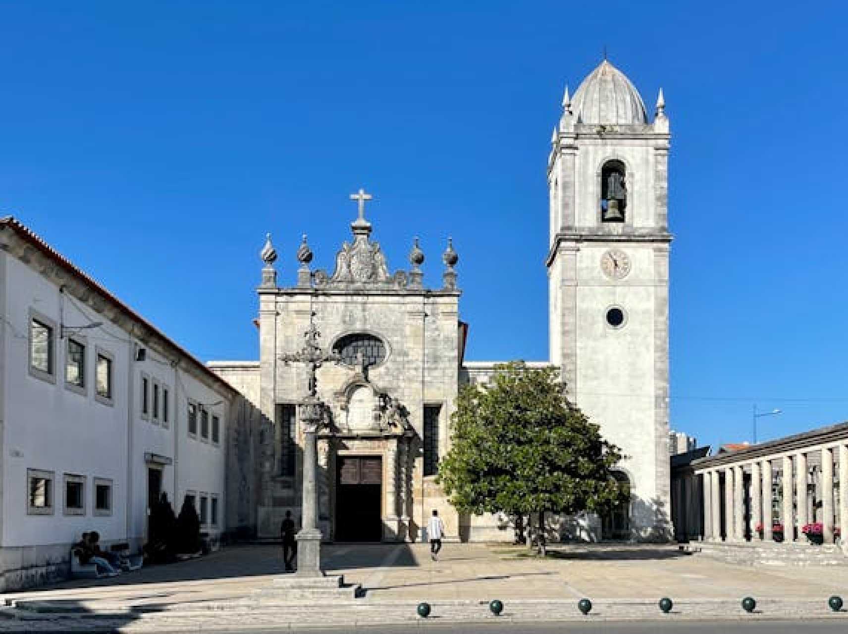 Gallery - Partida desde Porto – Tour Privada Meio Dia en Aveiro, passeio en Barco Moliceiro