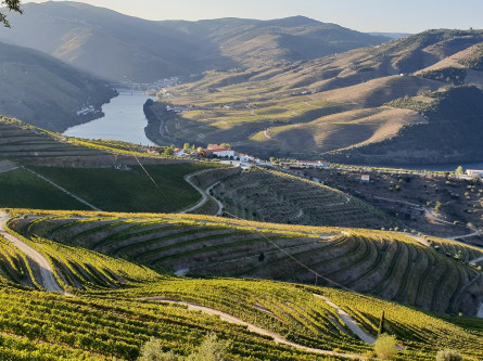 Gallery -  8 day Private Tour in Portugal – Culture, Wine & Gastronomy