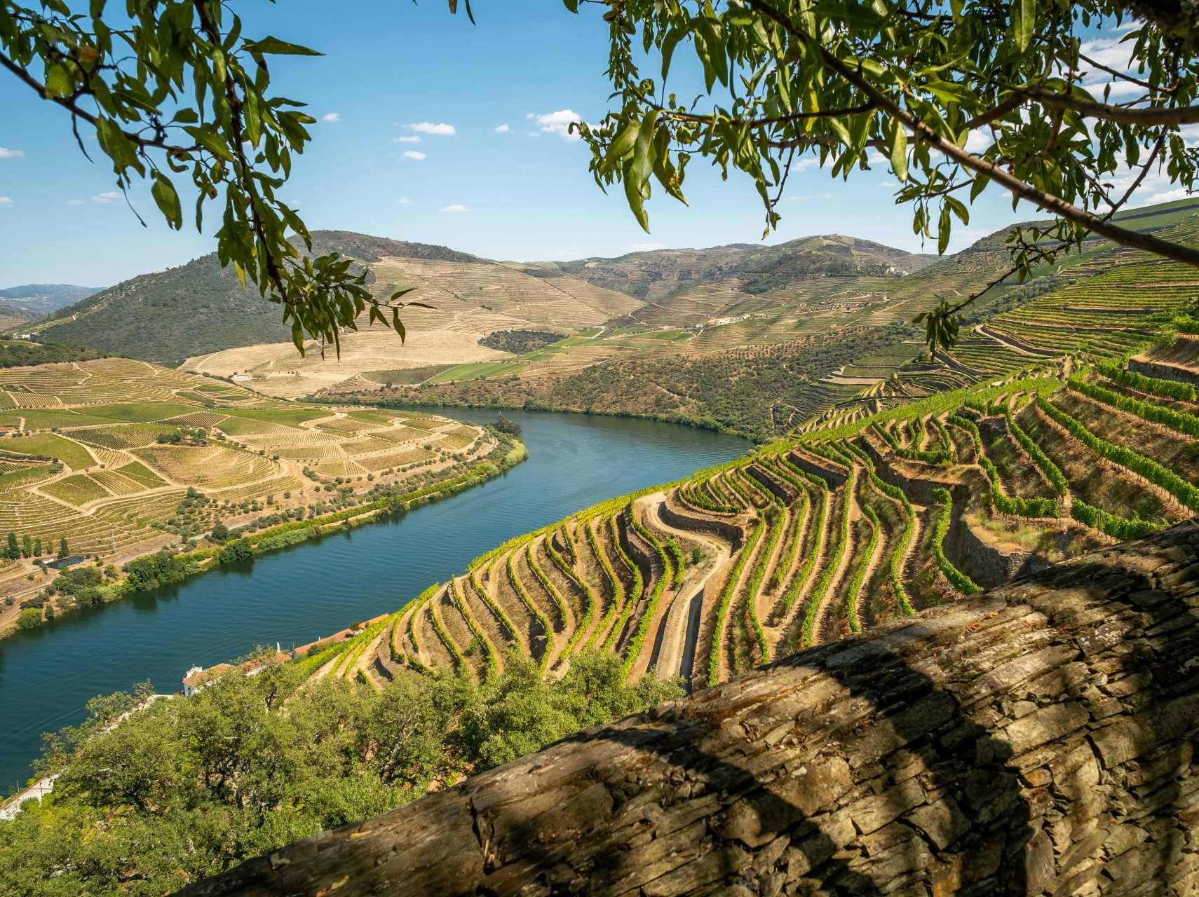 Gallery - Tour ao Douro - caminhada em Provesende & Quinta de Vinhos