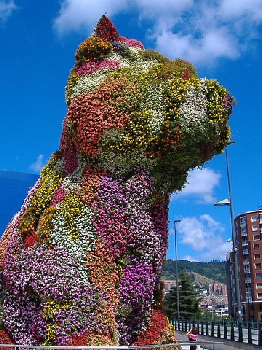 Norte de Espanha